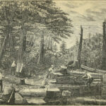 Tekening van het verwijderen van de boomschors, ca. 1850