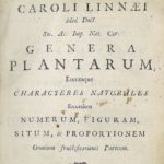 Genera Plantarum Carolus Linnaeus, 1737.