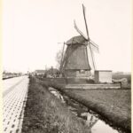 1200 Roe molen in 1936 – Bron: Stadsarchief Amsterdam