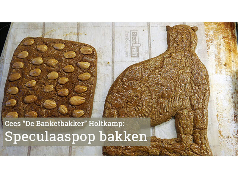 Omslag Sinterklaaskoek Bakken Holtkamp