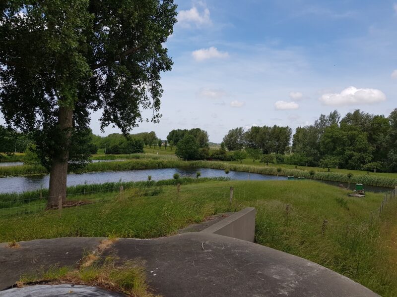20190531 Fort bij Aalsmeer - Aalsmeerderbrug - Rijsenhout - Aalsmeerderdijk 460 - 131554