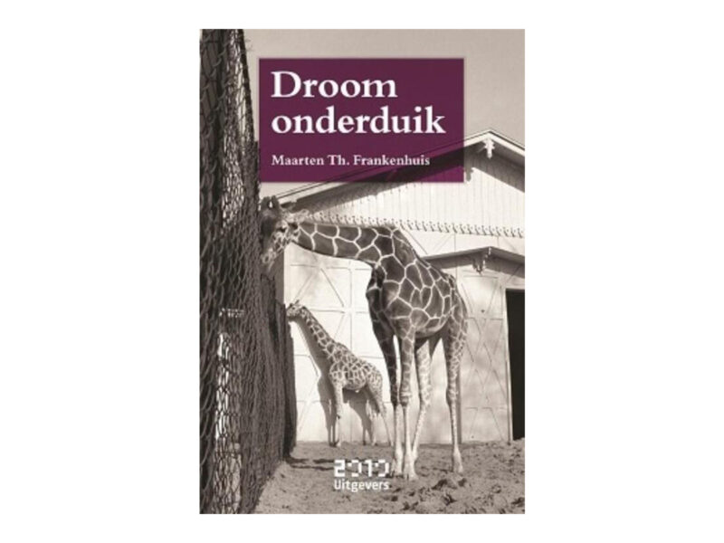 Boekomslag Droomonderduik Maarten Frankenhuis