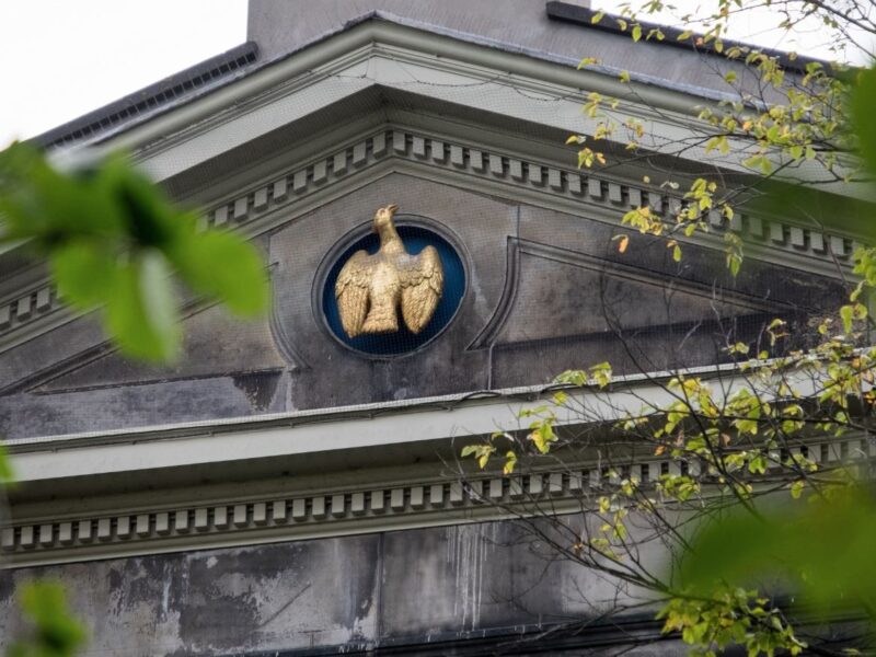 Exterieur Zoom In Duifje