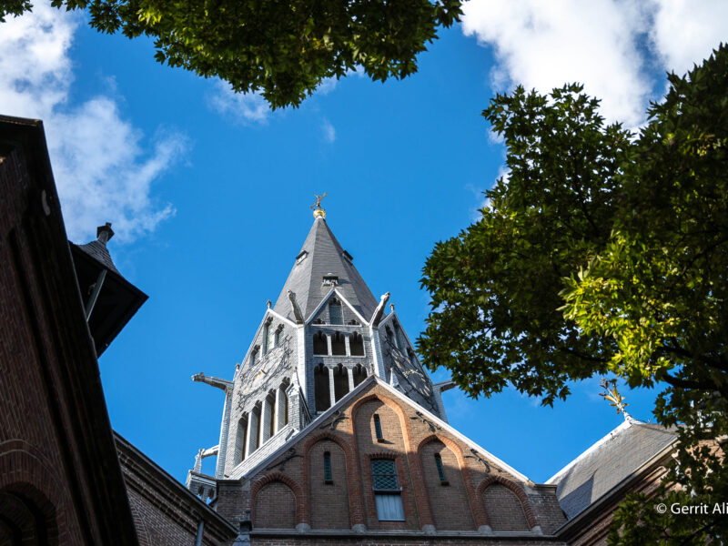  - Copyright @Gerrit Alink