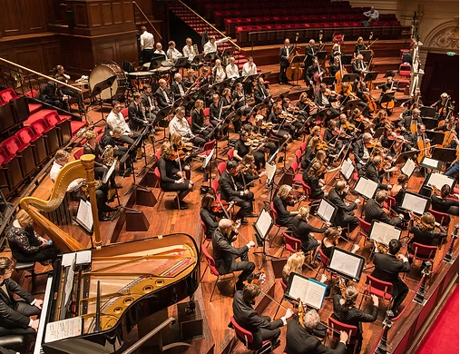 Het Orkest Amsterdam: Brahms, Weinberg en Basevicz · De Duif, Amsterdam · zo 29 nov 2026